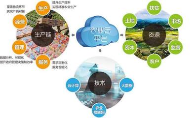 他山之石可以攻玉 借鑒美國農(nóng)業(yè)信息化經(jīng)驗，以信息技術(shù)咨詢服務(wù)升級中國農(nóng)民